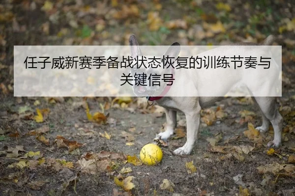 任子威新赛季备战状态恢复的训练节奏与关键信号